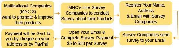 online survey job