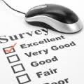 Online Surveys