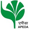 APEDA_New_Delhi_Recruitment.jpg