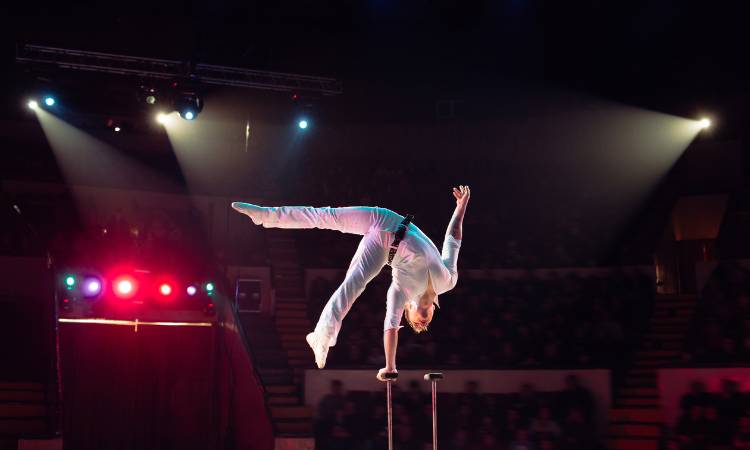 Circus Performers