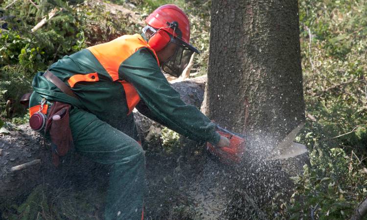 Logging Workers or Lumberjack