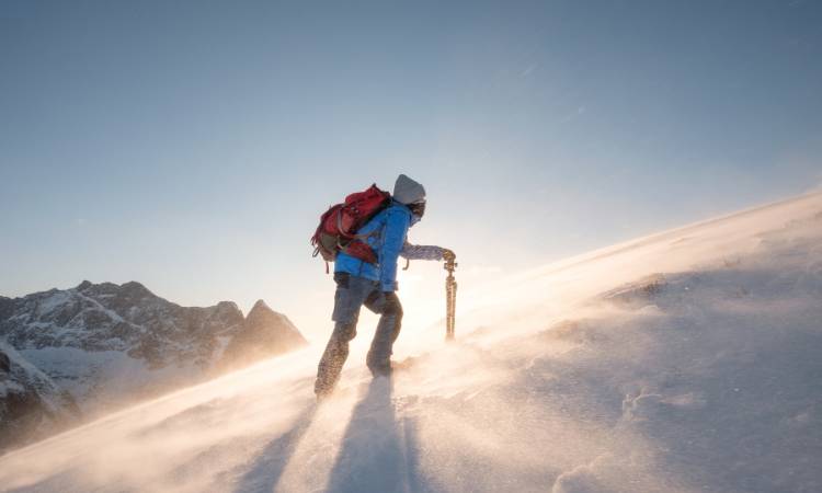 Mountain Climbers and Guides