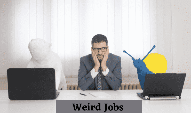 Weird Jobs