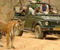 Wildlife and tourism