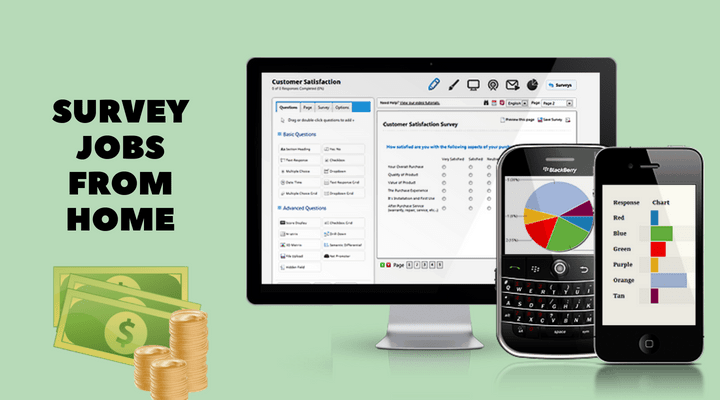 survey jobs from home