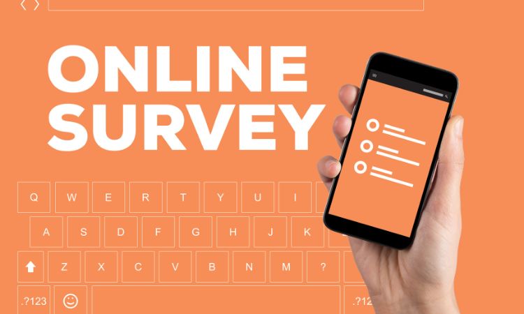 Online Surveys