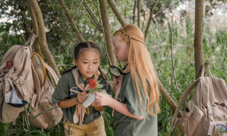 Girl scouts