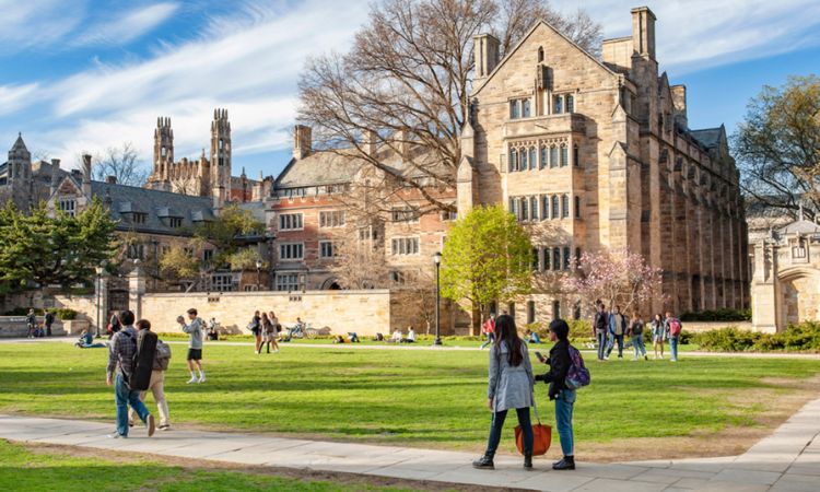 Yale University