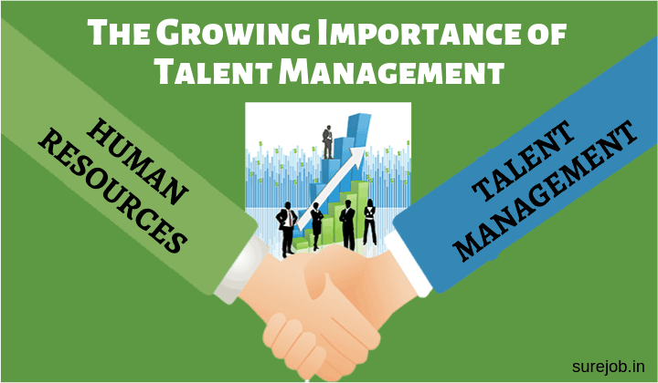 the-growing-importance-of-talent-management-ways-to-earn-money