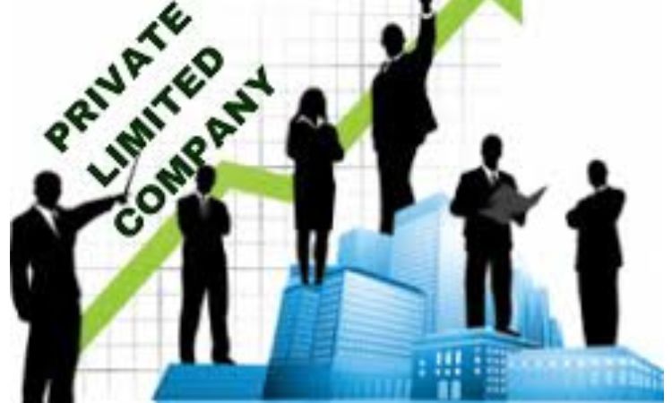 Private limited Company 