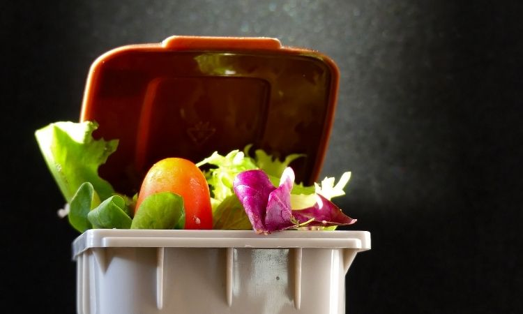 Organic Food Waste Collection