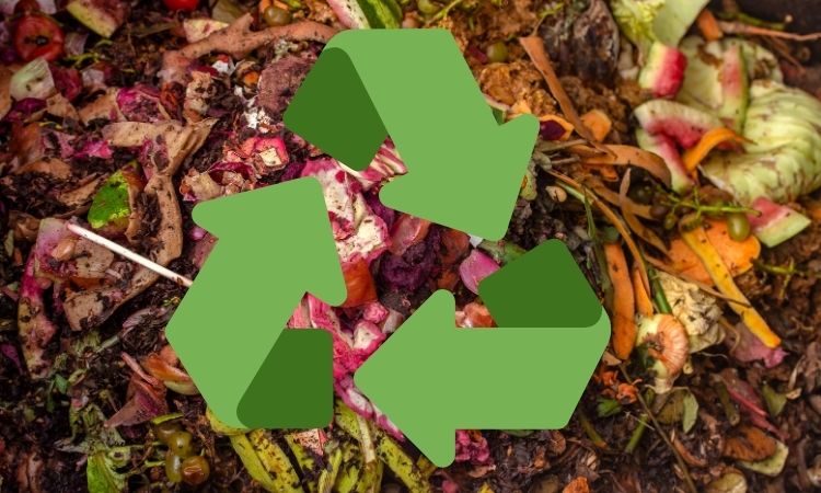  Organic Food Waste Recycling