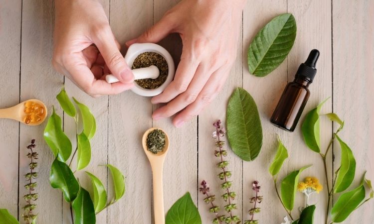 Organic Medicinal Herbs