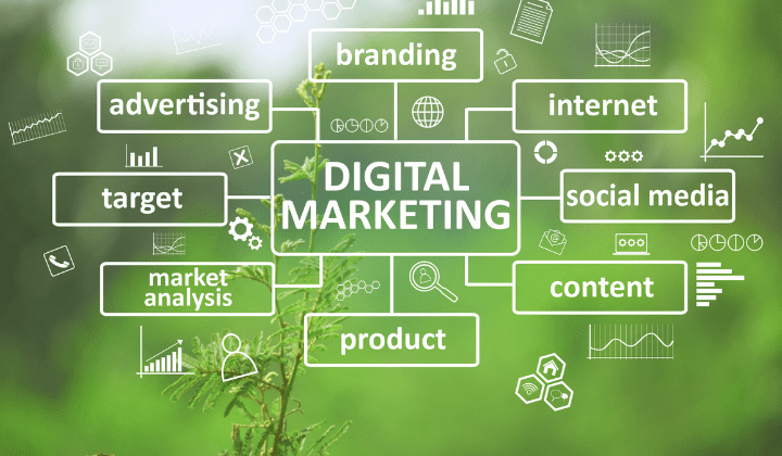 Digital Marketing for Business