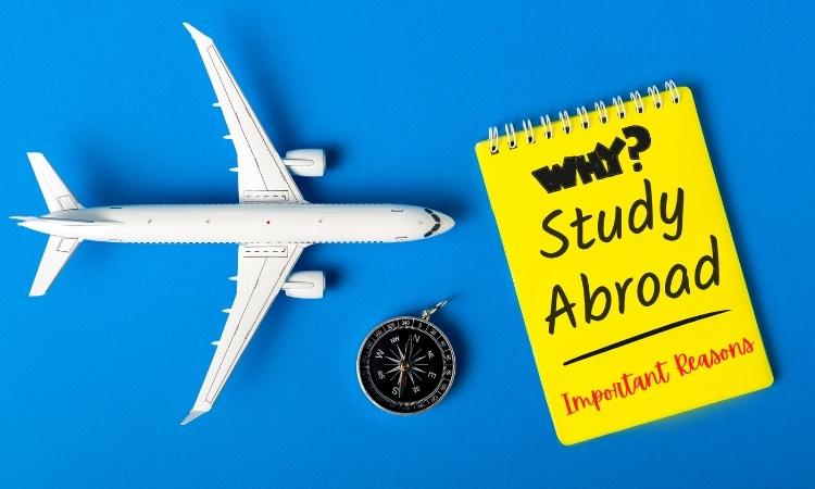 Study abroad