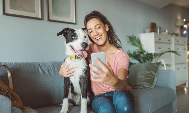 25 New YouTube Channel Ideas Without Showing Your Face For Beginners in 2022 7 Pet Videos