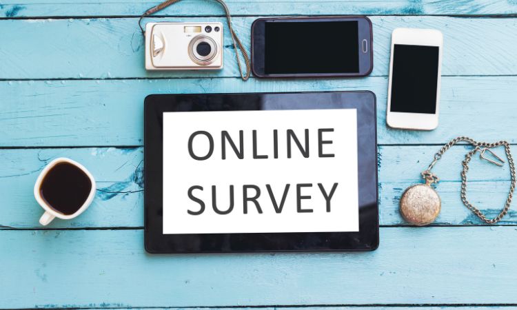 Paid Online Surveys