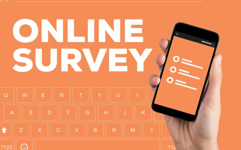 online survey